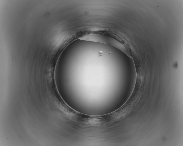X0000090500462200707201550