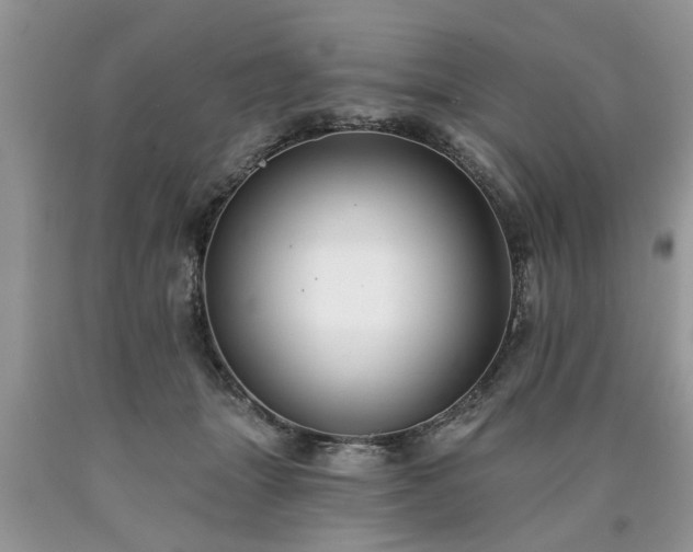 X0000090500463200707201550