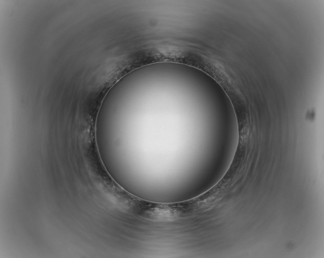 X0000090500464200707201550