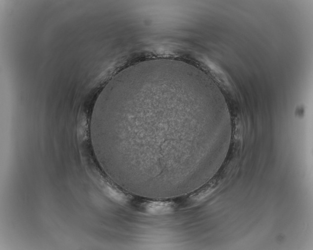 X0000090500465200707201550