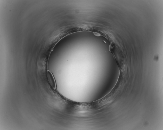 X0000090500466200707201550