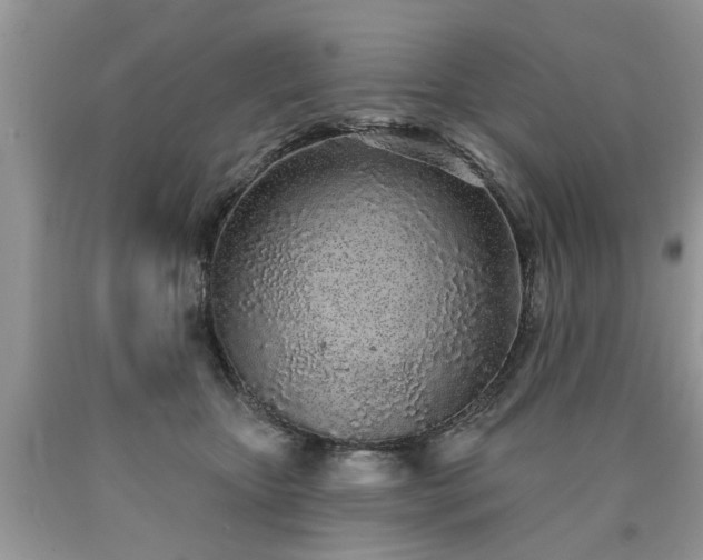 X0000090500467200707201550