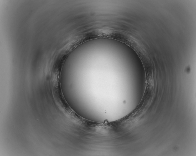 X0000090500468200707201550
