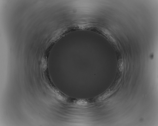 X0000090500471200707201551