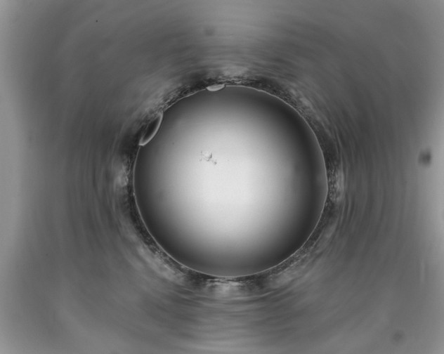 X0000090500472200707201551