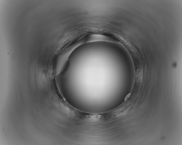 X0000090500474200707201551