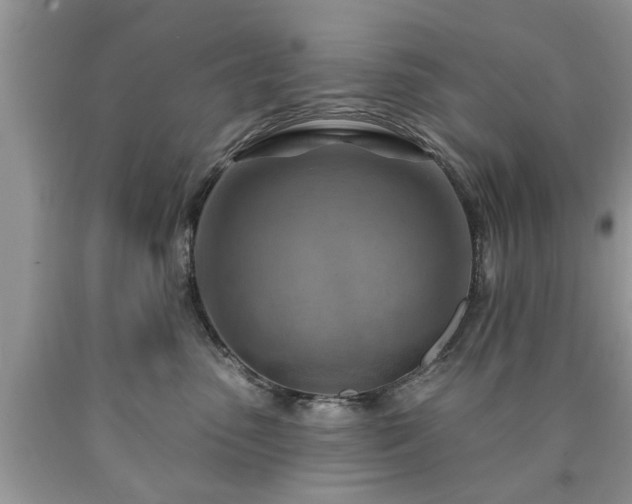 X0000090500475200707201551