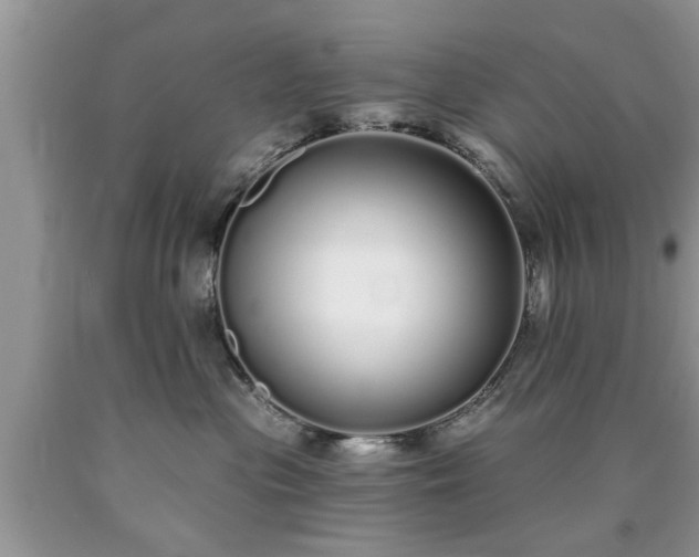 X0000090500477200707201551