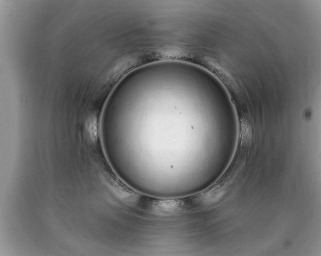 X0000090500479200707201551