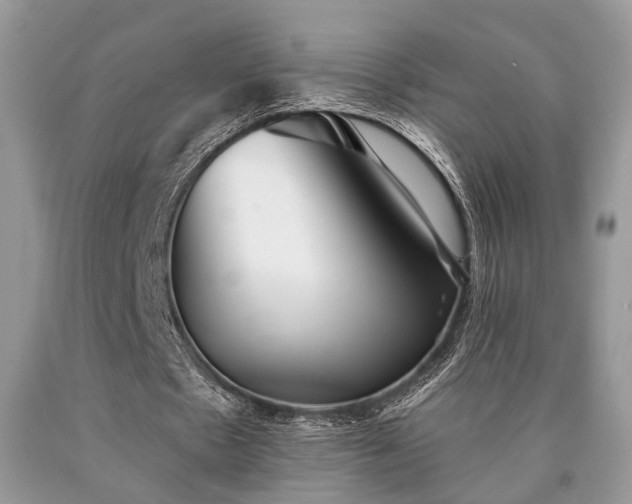 X0000090500481200707201550