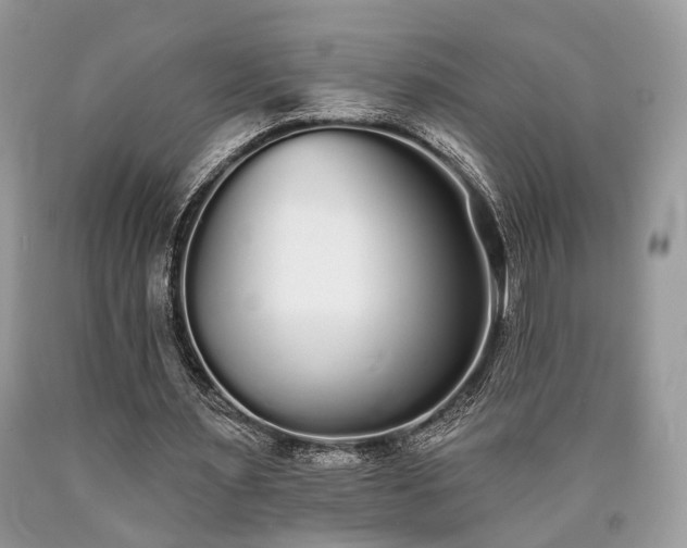 X0000090500483200707201550