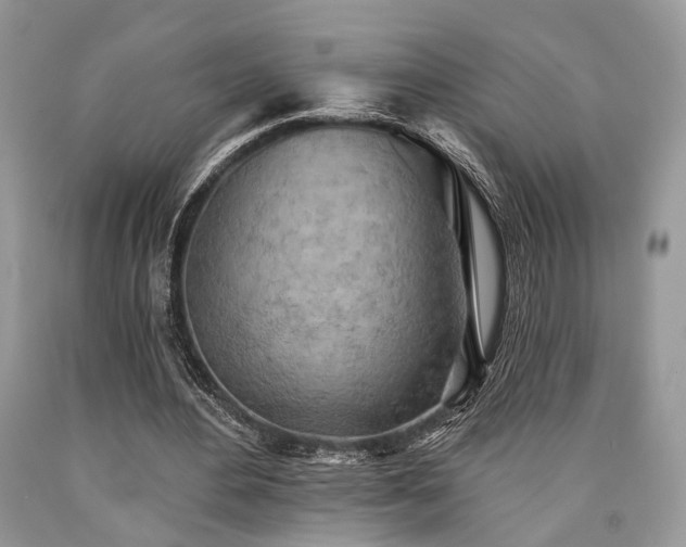 X0000090500484200707201550
