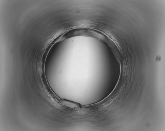X0000090500485200707201550