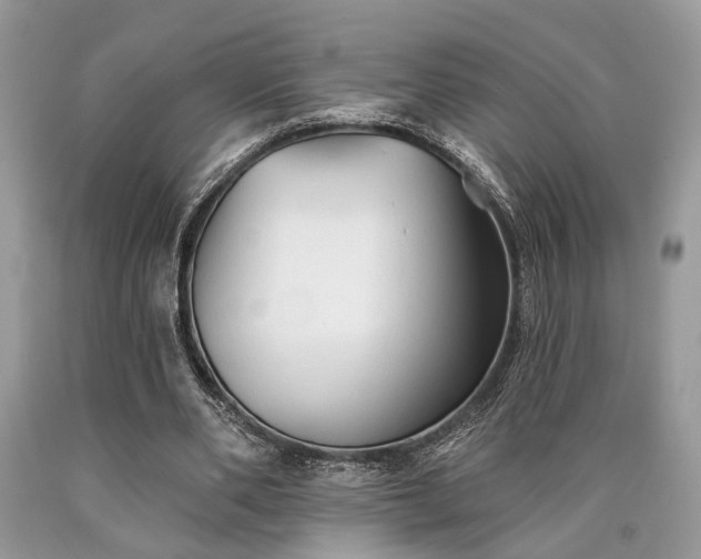 X0000090500486200707201550
