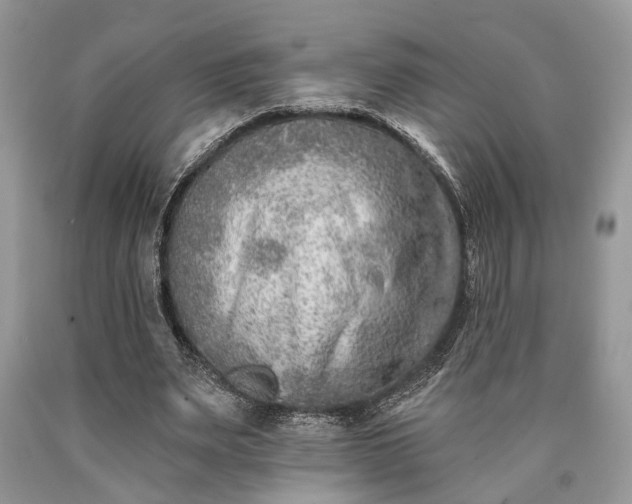 X0000090500487200707201550