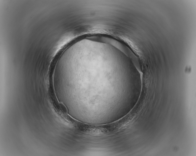X0000090500488200707201550