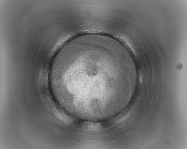 X0000090500491200707201550