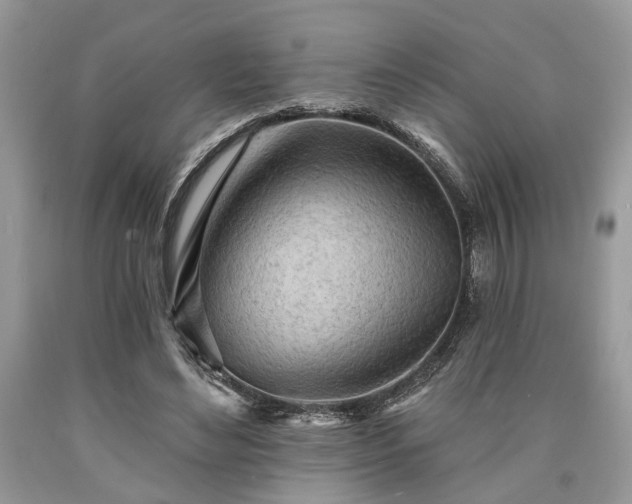 X0000090500492200707201550