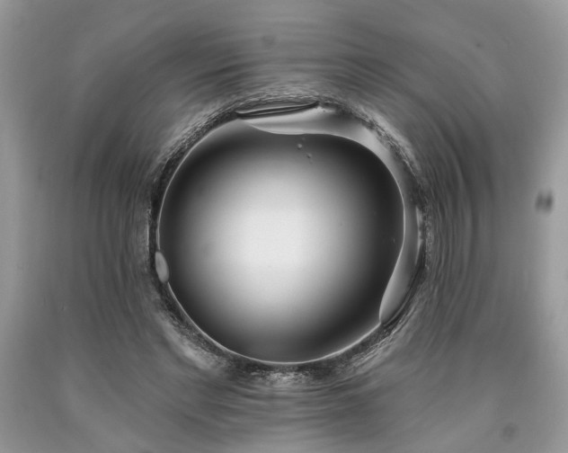 X0000090500493200707201550