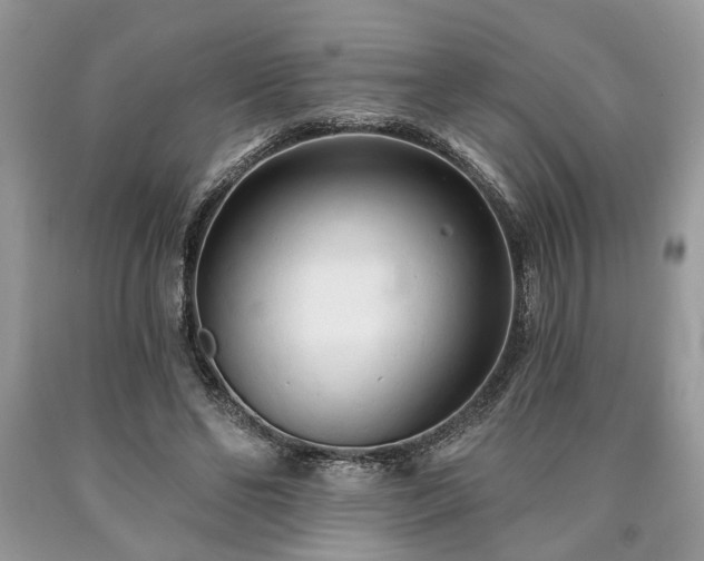 X0000090500494200707201550