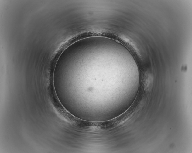 X0000090500496200707201550