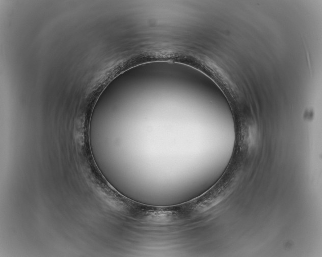 X0000090500497200707201550