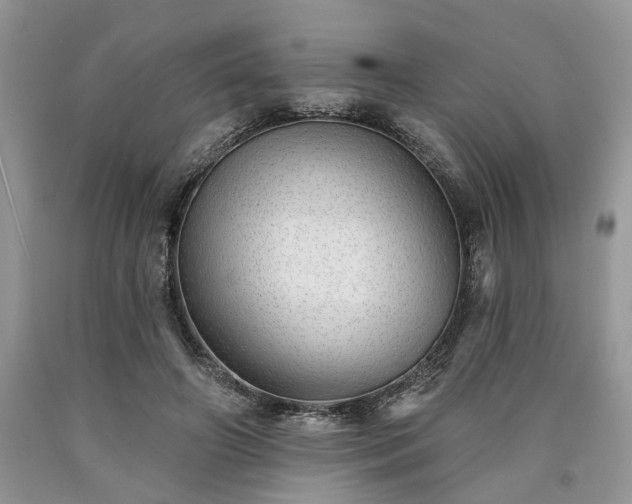 X0000090500498200707201550