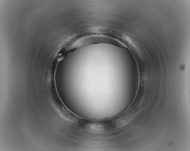 X0000090500500200707201550