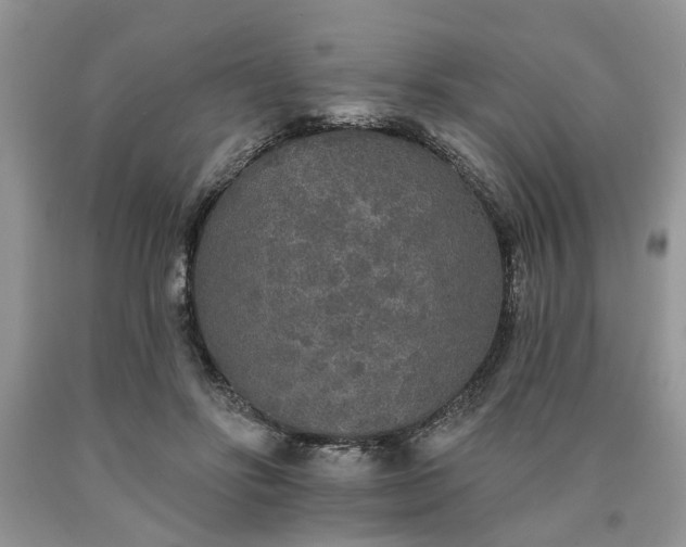 X0000090500502200707201550