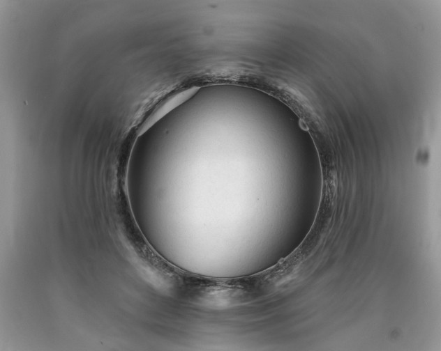 X0000090500504200707201550