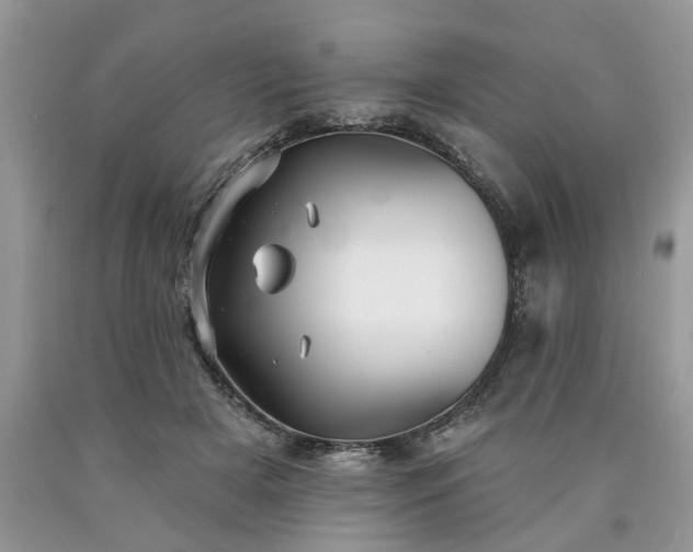 X0000090500505200707201550