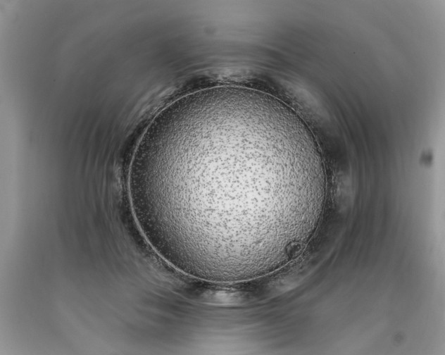 X0000090500506200707201550