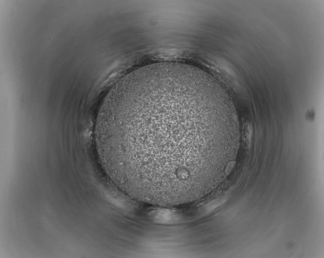X0000090500507200707201550