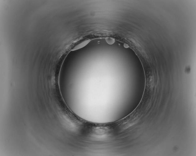 X0000090500508200707201550