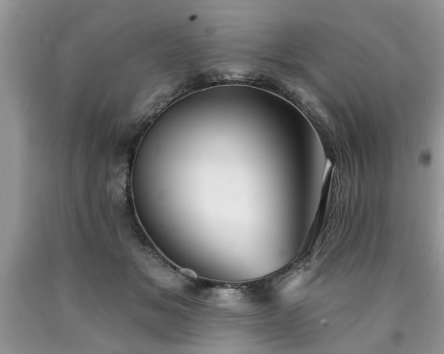 X0000090500509200707201550