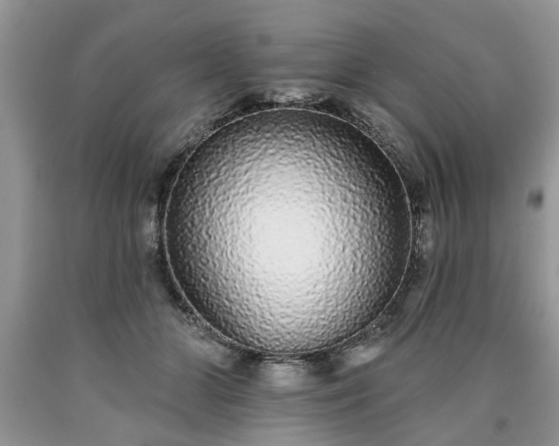 X0000090500510200707201550