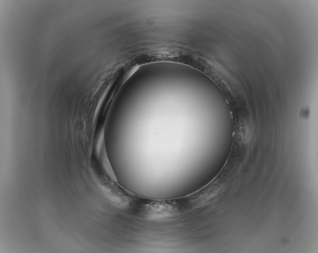 X0000090500512200707201550