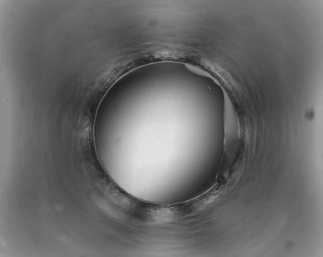 X0000090500513200707201549