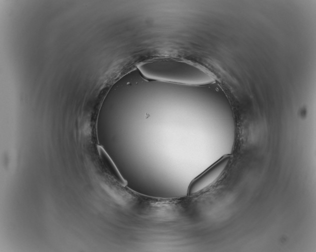 X0000090500516200707201549