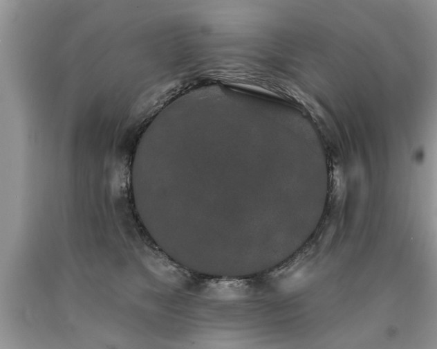 X0000090500517200707201549