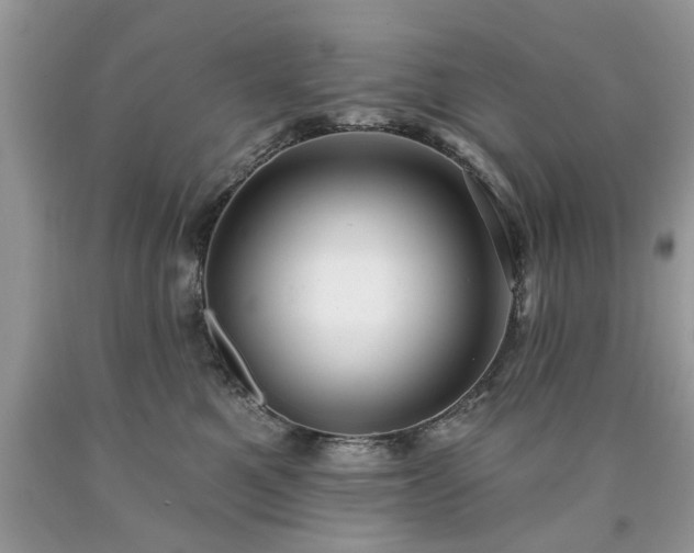 X0000090500521200707201549
