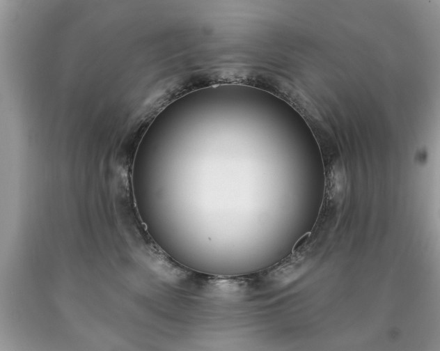 X0000090500522200707201549