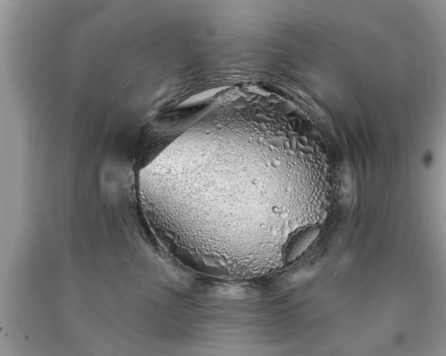 X0000090500523200707201549