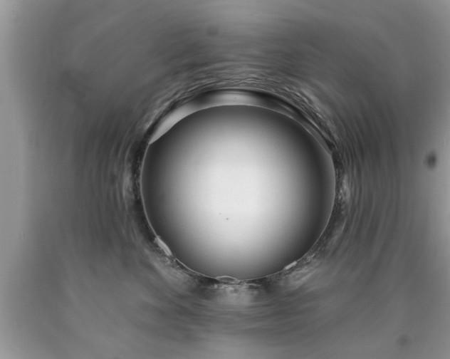 X0000090500524200707201549
