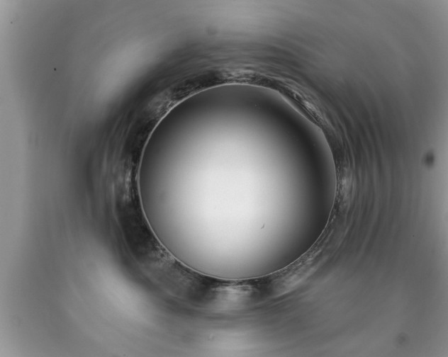 X0000090500525200707201549