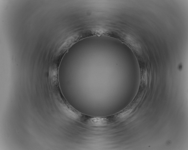 X0000090500526200707201549