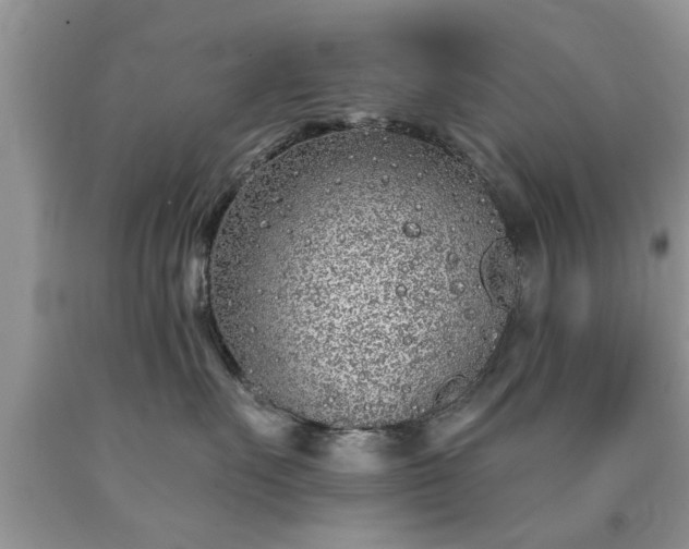 X0000090500527200707201549