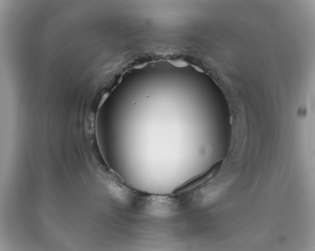 X0000090500528200707201549