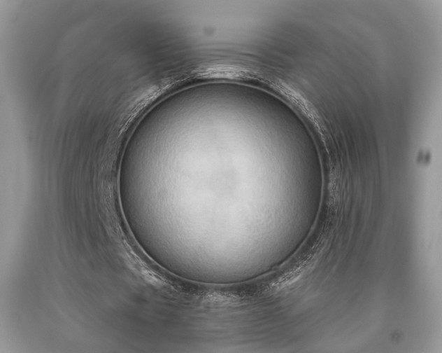 X0000090500529200707201548
