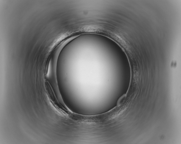 X0000090500530200707201549